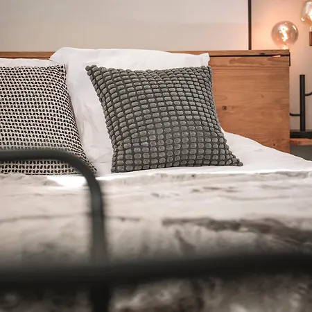 Venez Chez Vous - Aux Premieres Loges Pieds Dans L'eau Apartment Sevrier